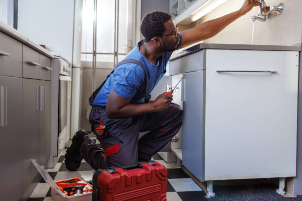 Best Emergency Plumber  in Justice, IL